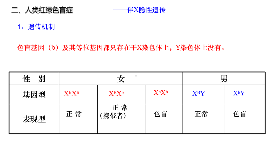 高中生物必修二伴性遗传基础复习课件.pptx_第3页