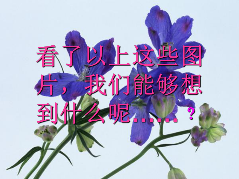 色彩的联想美术课件.ppt_第2页