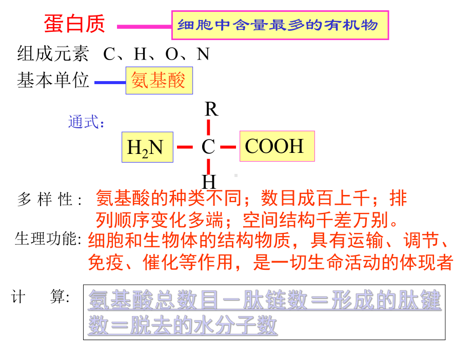 高中生物必修一《遗传信息携带者-核酸》课件.pptx_第2页