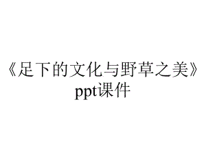 《足下的文化与野草之美》课件.ppt