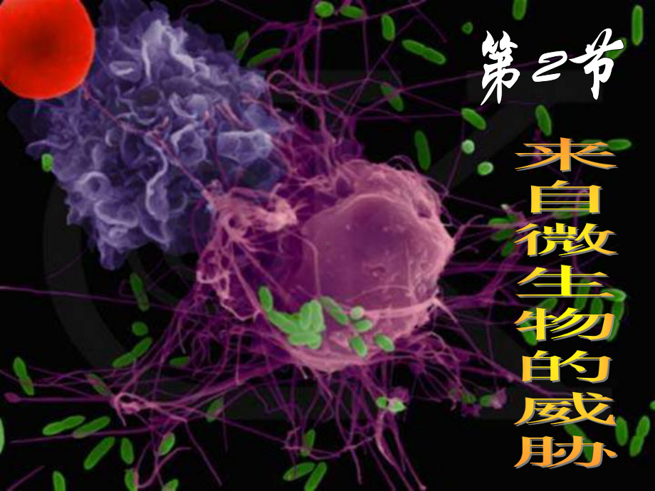 来自微生物的威胁课件(浙教版九年级科学下册).ppt_第1页