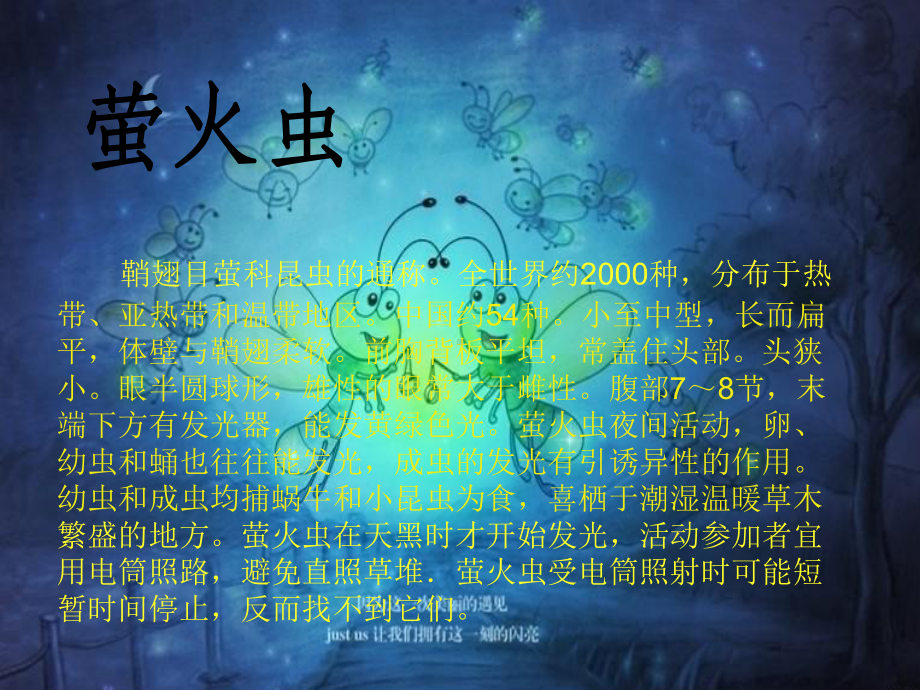 《萤火虫》六年级上册音乐-人音版(五线谱).ppt_第2页