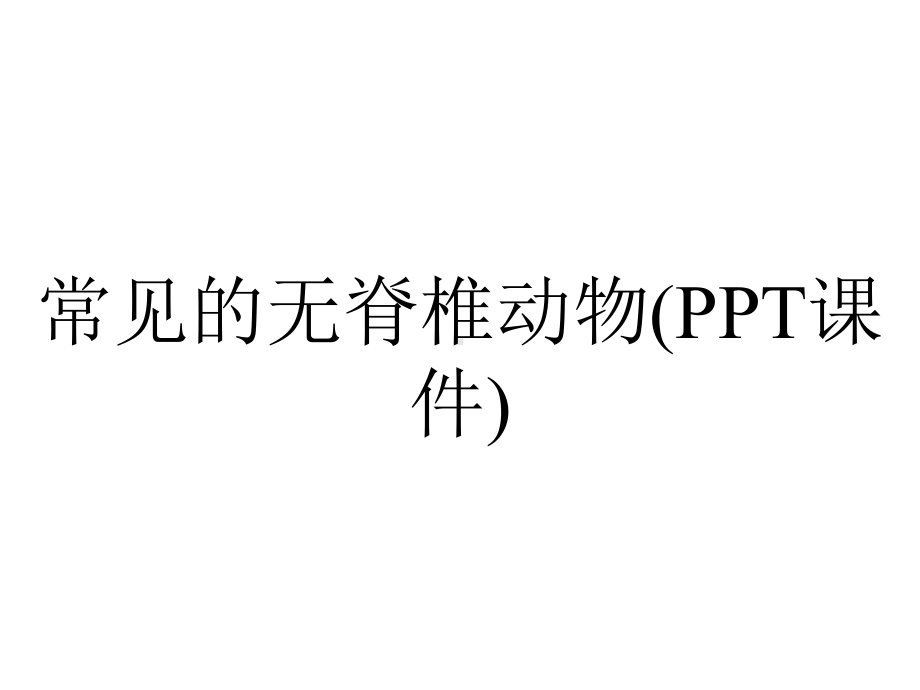 常见的无脊椎动物(PPT课件).ppt_第1页