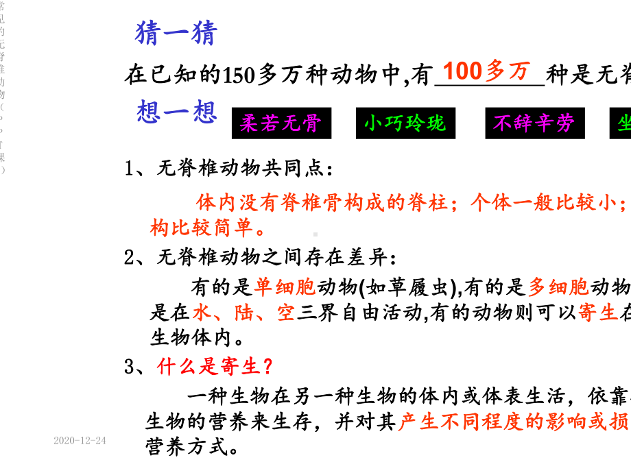 常见的无脊椎动物(PPT课件).ppt_第3页