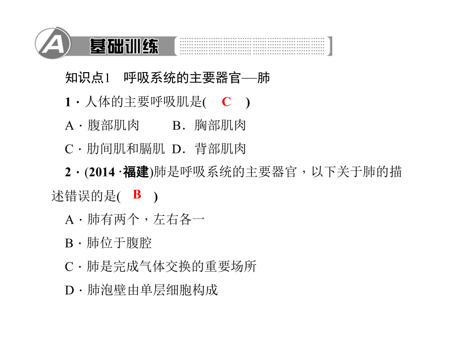 《肺与外界的气体交换》练习题课件.ppt_第3页