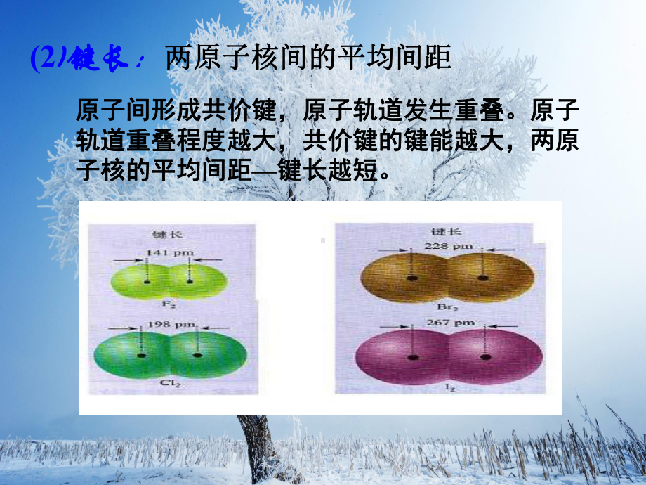 共价键的键能与化学反应热教学课件.ppt_第3页