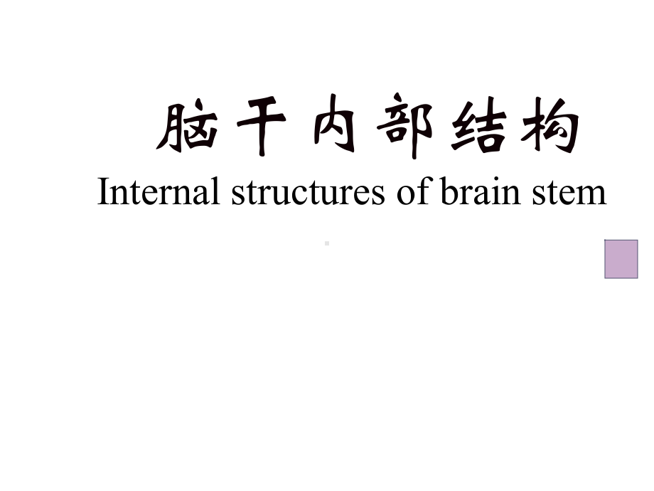 神经解剖学脑干简化课件.ppt_第1页