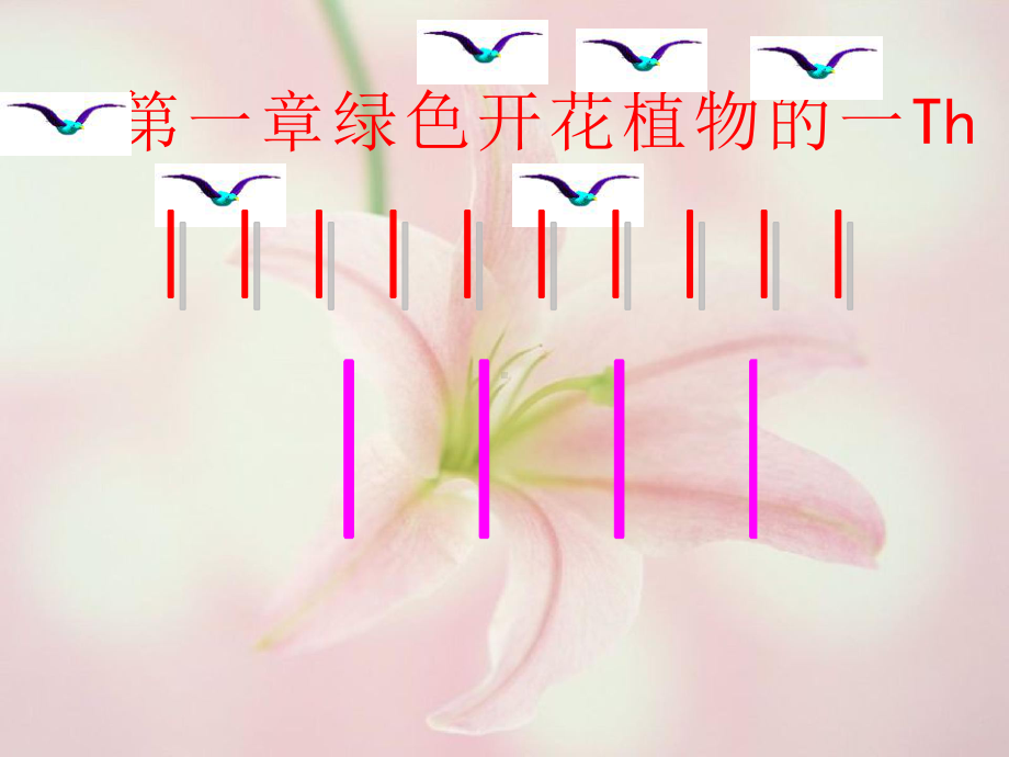 初中生物《花的结构》教学课件设计.pptx_第2页