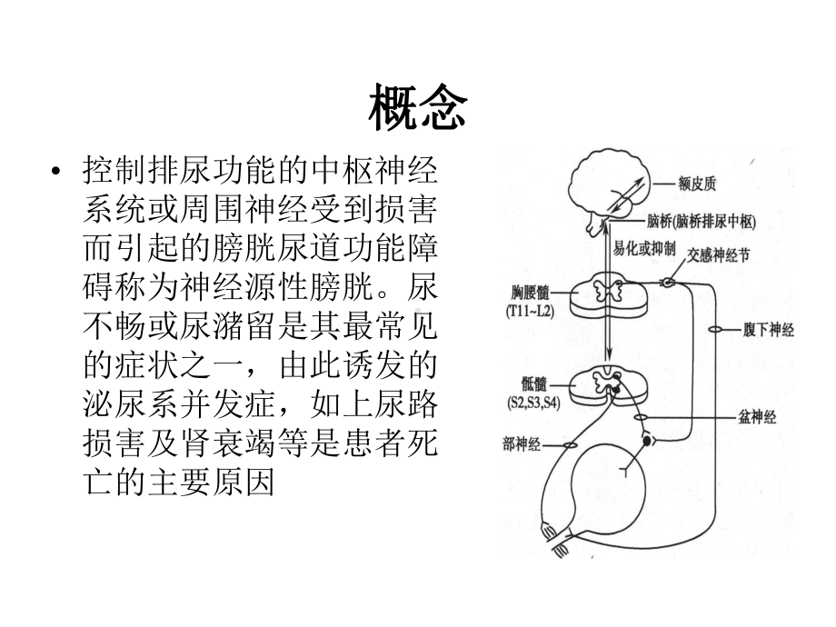神经源性膀胱的康复护理优秀课件.pptx_第2页