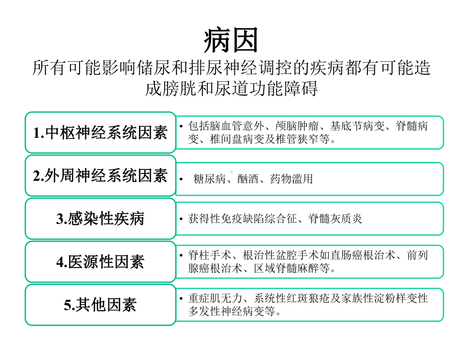 神经源性膀胱的康复护理优秀课件.pptx_第3页