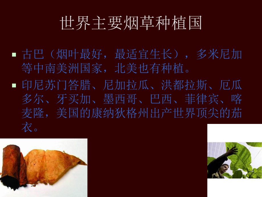 雪茄培训课件.ppt_第3页