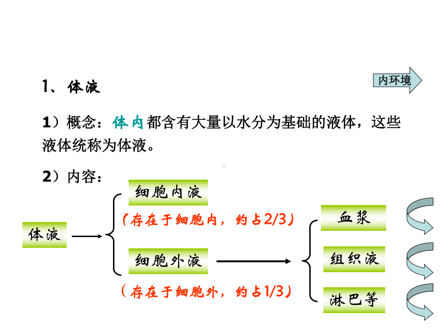 必修3：第一章人体的内环境与稳态复习课件.ppt_第2页