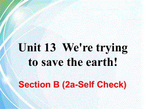 新目标九年级英语Unit13SectionB(2aSelfCheck)课件.ppt--（课件中不含音视频）