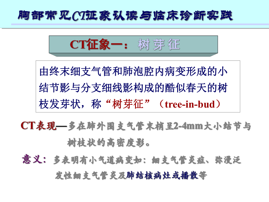 肺部CT十大入门征象课件.ppt_第3页