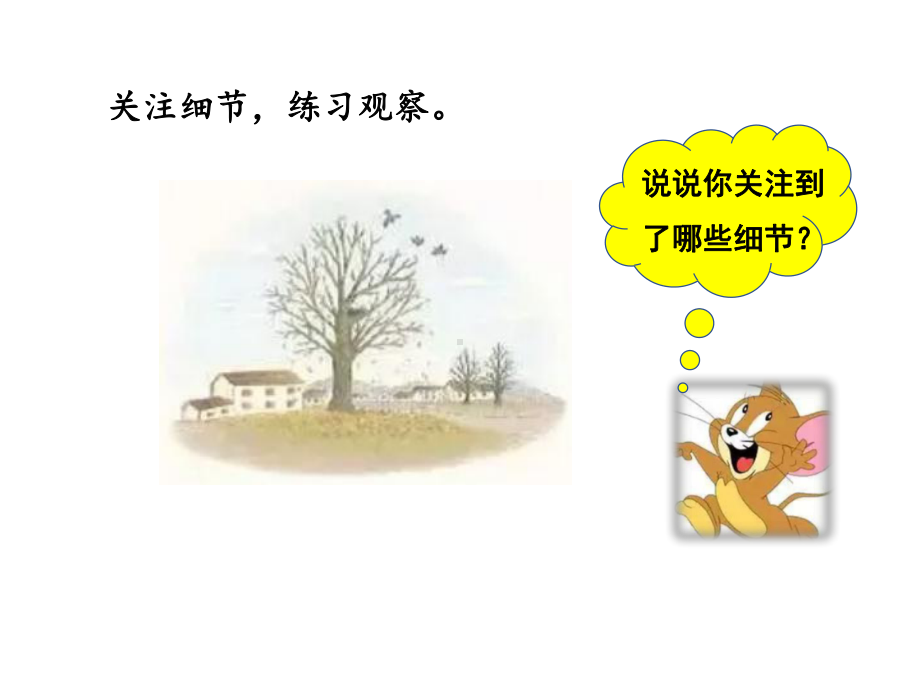 （人教部编版小学语文）习作：我们眼中的缤纷世界完美课件1.pptx_第2页