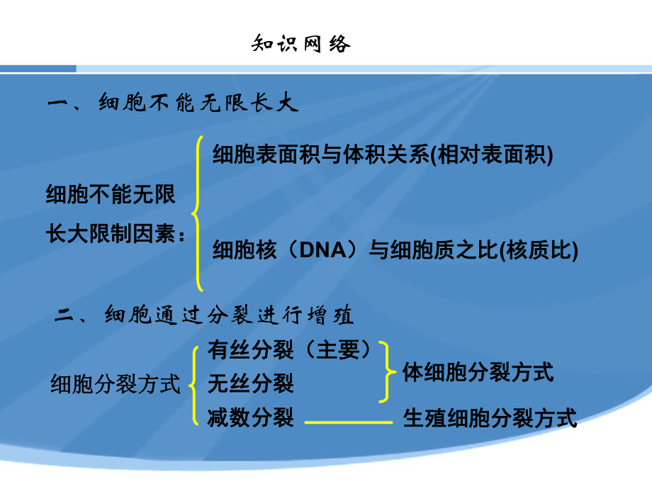 人教版高中生物必修一第六章复习课件.ppt_第2页