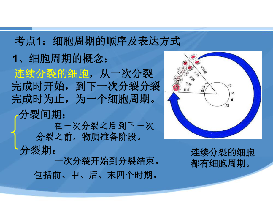 人教版高中生物必修一第六章复习课件.ppt_第3页