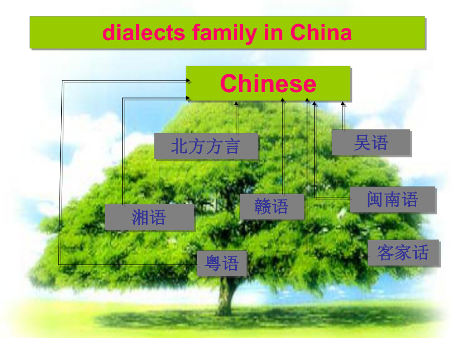 高一英语优质课件：Unit2EnglisharoundtheworldReadingII(新人教版必修1).ppt--（课件中不含音视频）_第3页