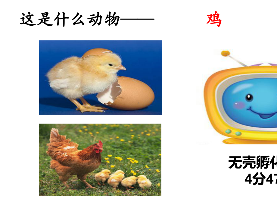 二年级上册科学始业教育课教科版.ppt_第2页