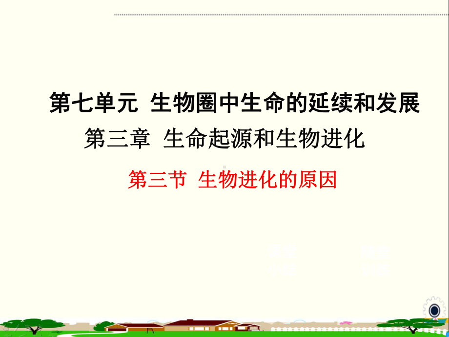 新人教版八年级生物下册《生命起源和生物进化生物进化的原因》部编版教学课件.ppt_第1页