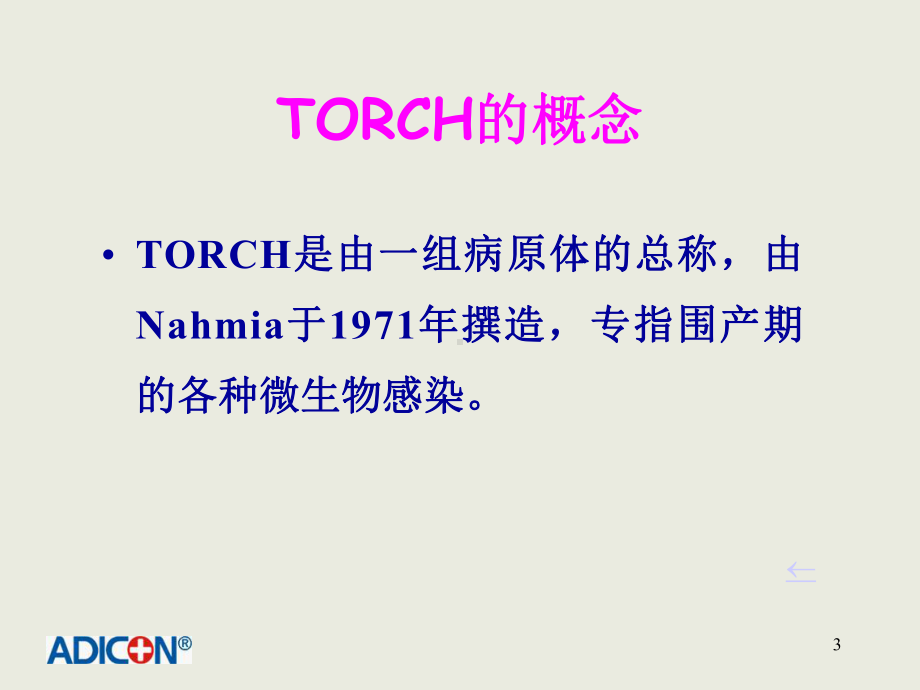 TORCH感染的诊断与临床课件.ppt_第3页