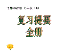 道德与法治七年级下册全册复习提要课件.ppt