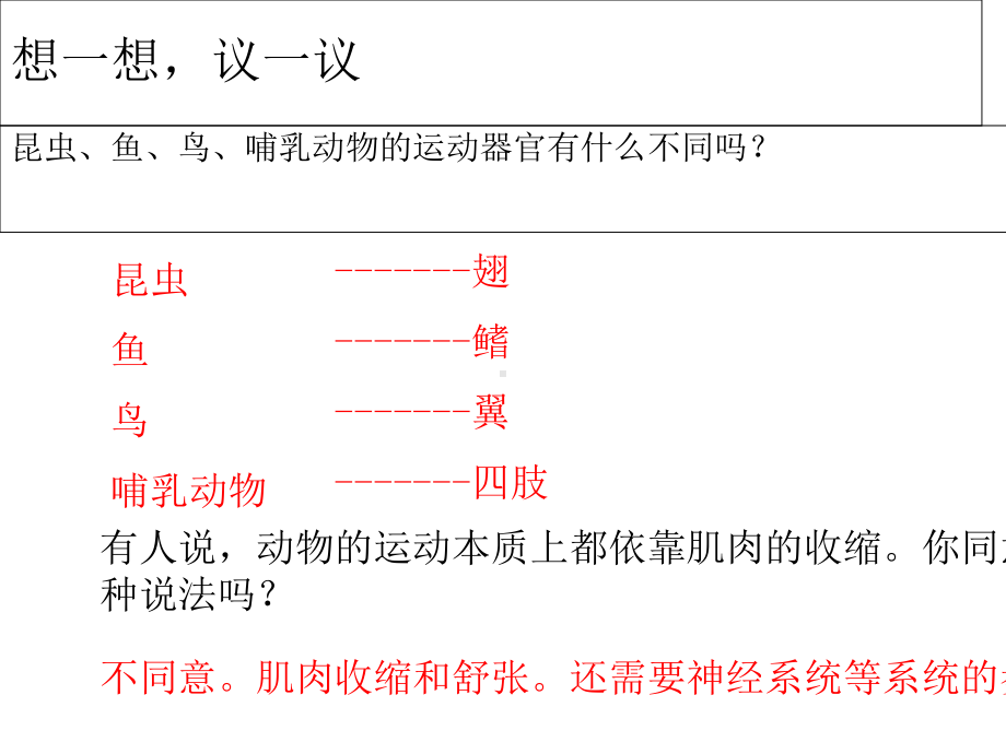 人教版初中八年级生物上册第一节---动物的运动课件.ppt_第2页