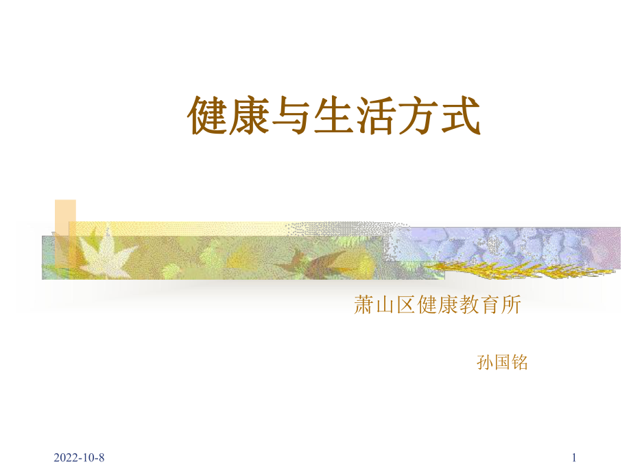 健康促进社区实施课件.ppt_第1页