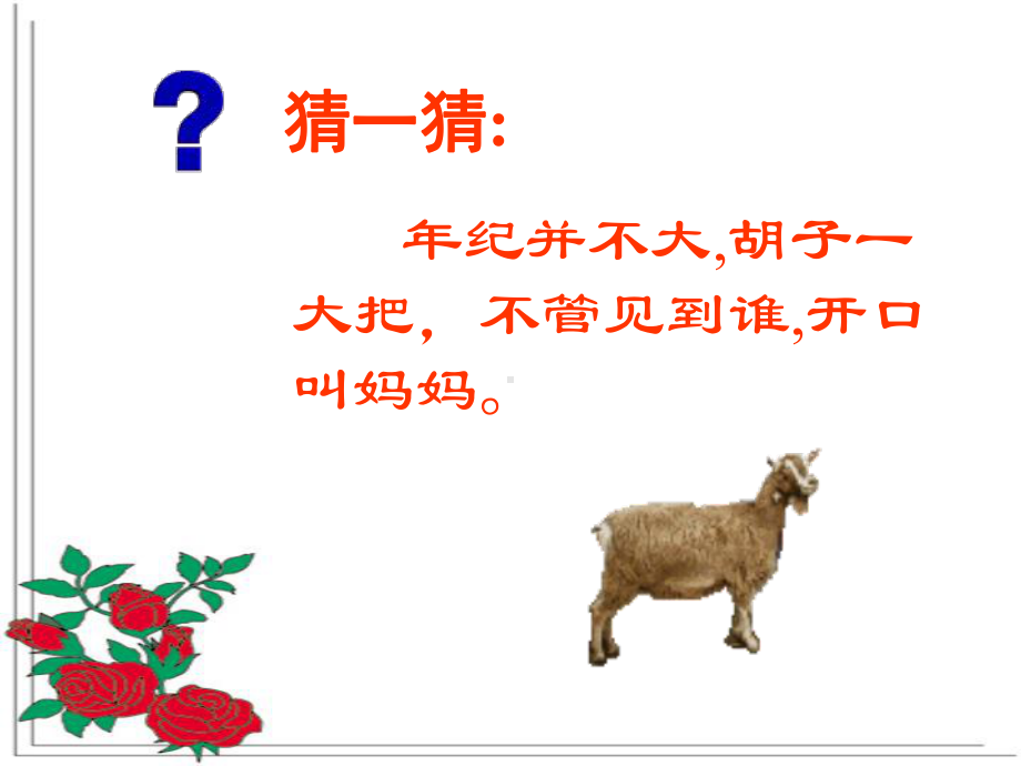 骆驼和羊优秀课件.ppt_第1页