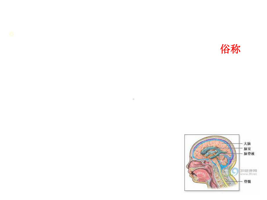 中风的中医治疗医学.ppt_第3页