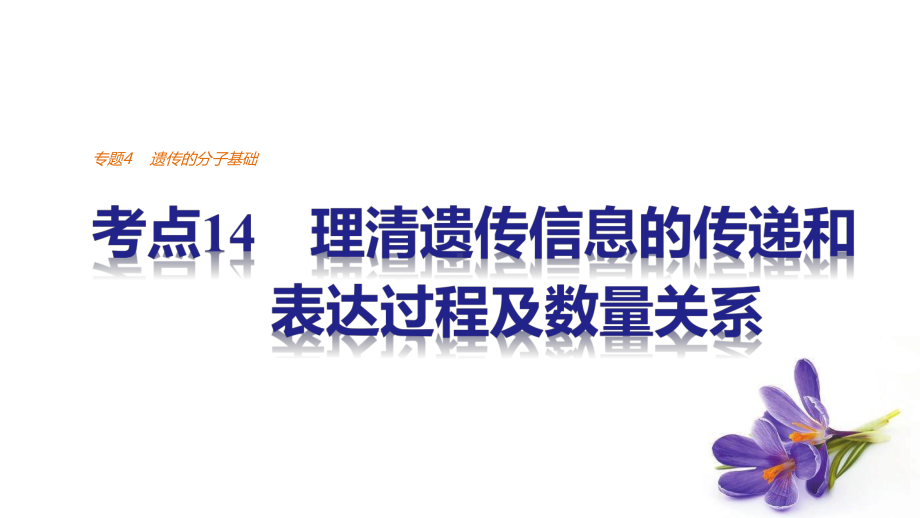 考点14理清遗传信息的传递和表达过程及数量关系课件.ppt_第1页