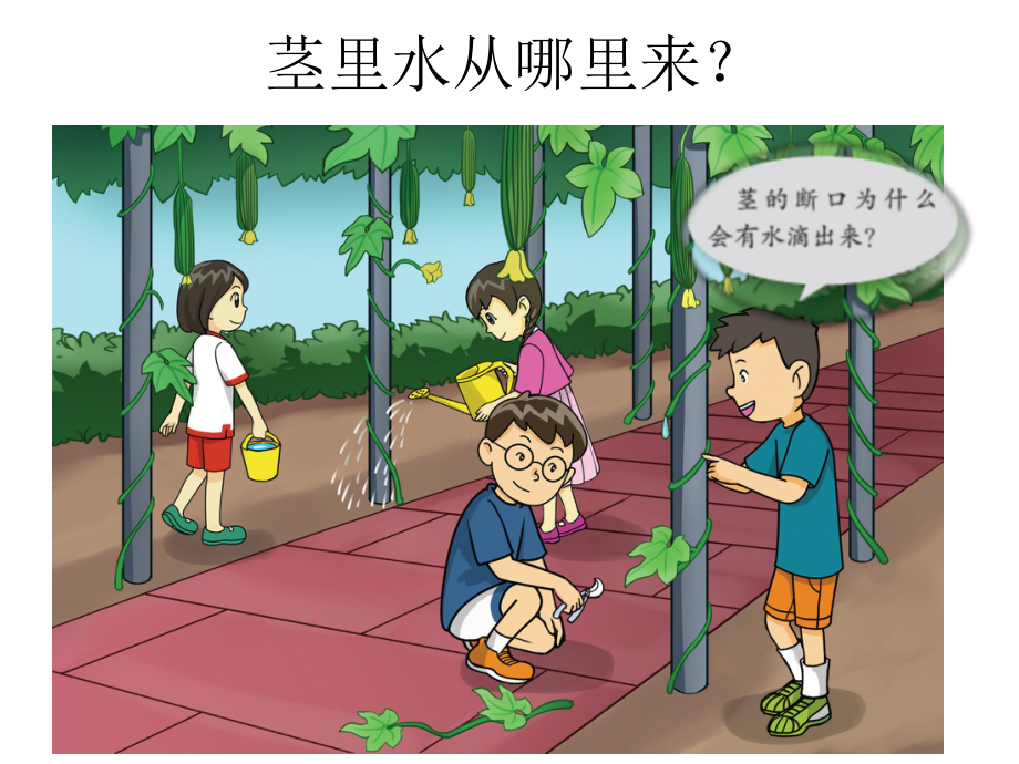 《水分在茎里的运输》PPT优秀课件粤教版小学1.pptx_第2页