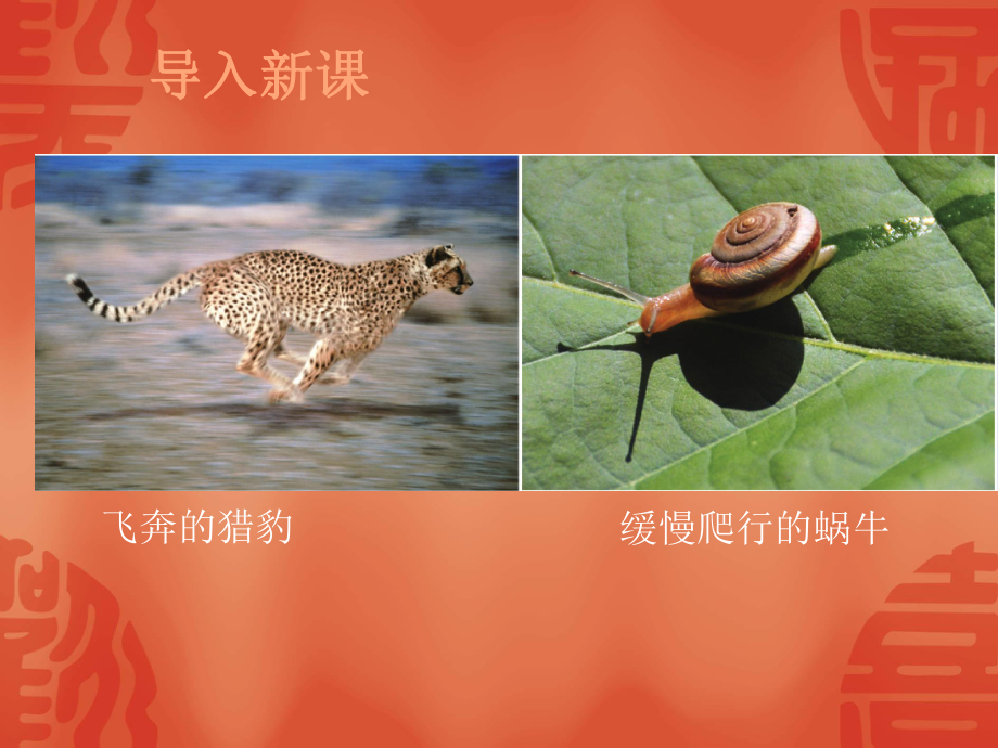 人教版八年级物理上册运动的快慢课件(同名2249).ppt_第3页