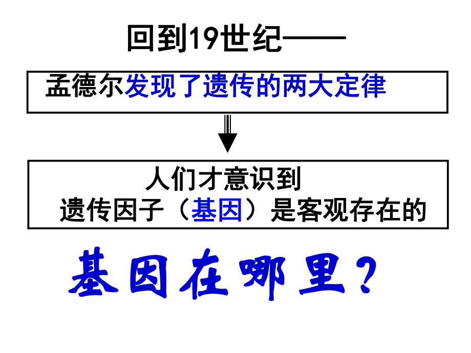 高中生物必修二《基因在染色体上》课件.pptx_第3页