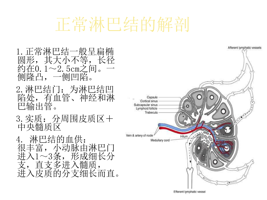 常见淋巴结疾病及其超声表现.ppt_第3页