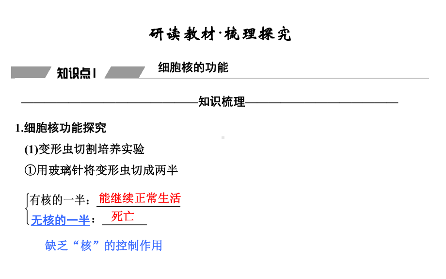 高中生物一轮复习：细胞核的结构和功能课件.ppt_第3页