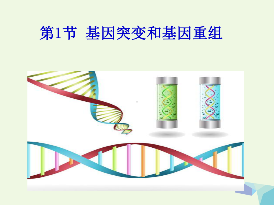 高中生物第五章基因突变及其他变异51基因突变和基因重组课件新人教版必修2.ppt_第3页