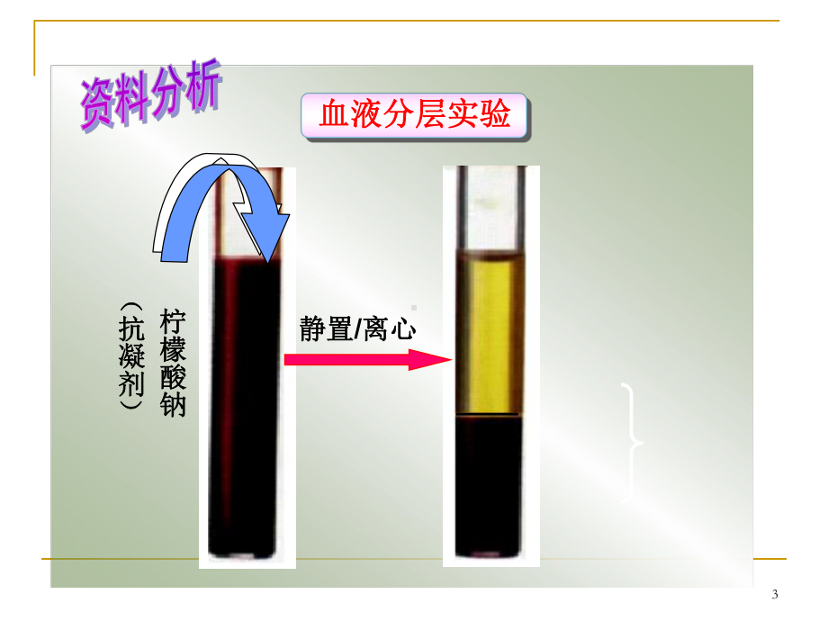 人教版生物七年级下册流动的组织-血液优秀课件.ppt_第3页