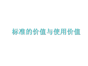 标准的价值与使用价值课件.ppt