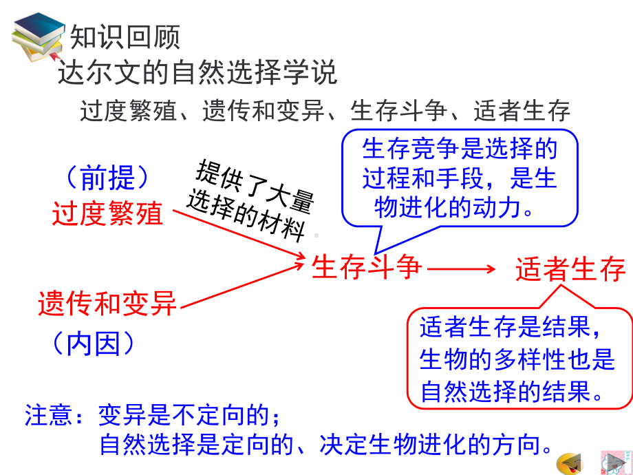 人类的起源和进化优秀课件.ppt_第2页