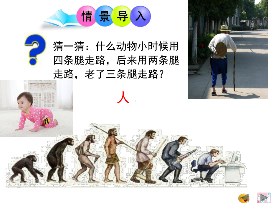 人类的起源和进化优秀课件.ppt_第3页