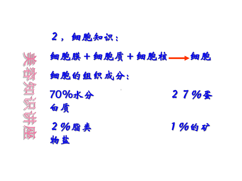 （精品）基础美容课件.ppt_第3页