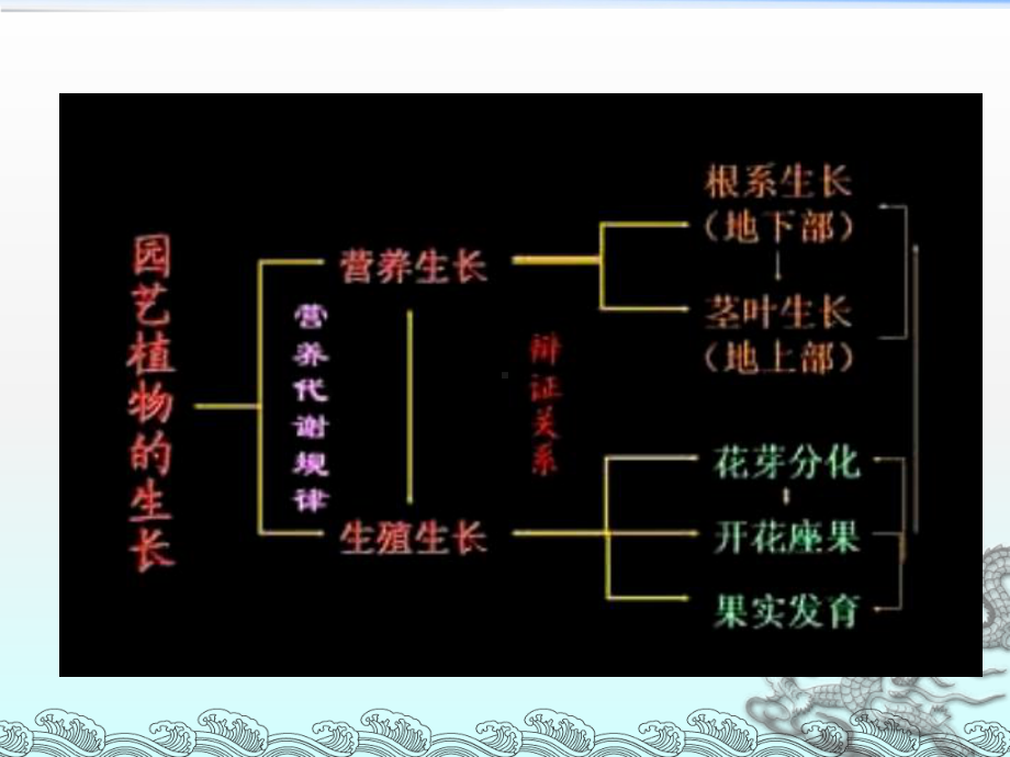 《园艺植物生物学》课件2.ppt_第2页