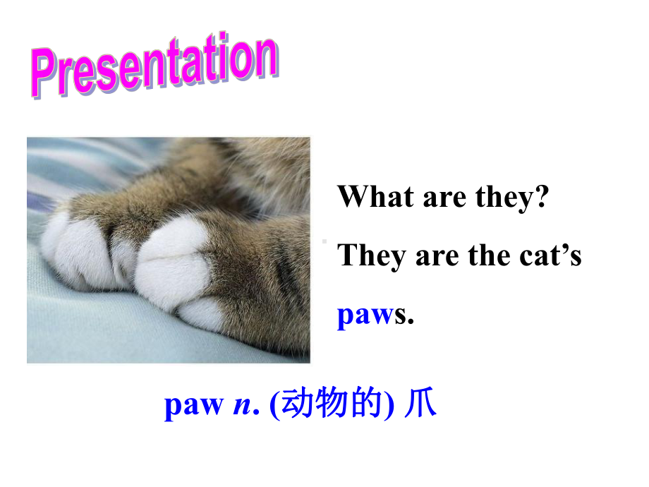 Unit-8-Pets(Task)课件(牛津译林版七年级下).ppt-(课件无音视频)_第3页