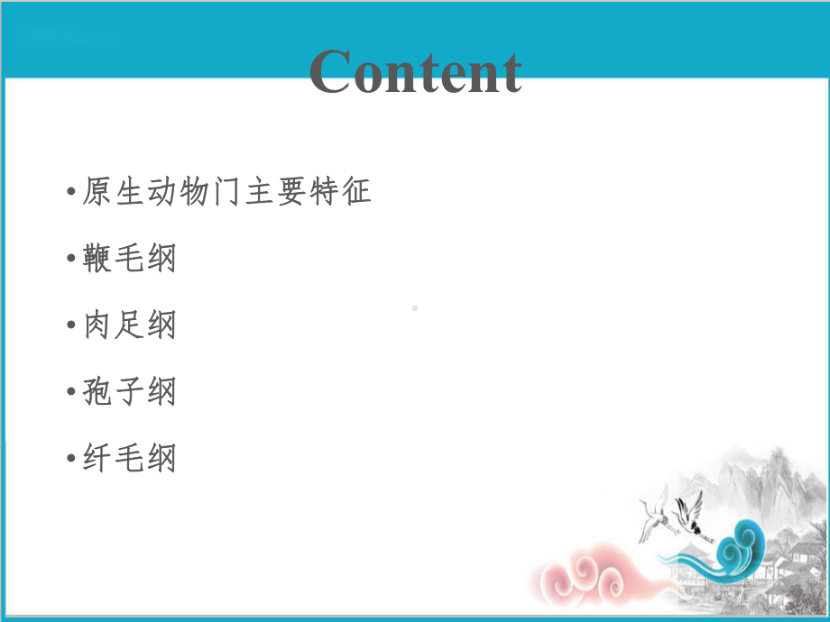 普通动物学课件第三章原生动物门.ppt_第2页