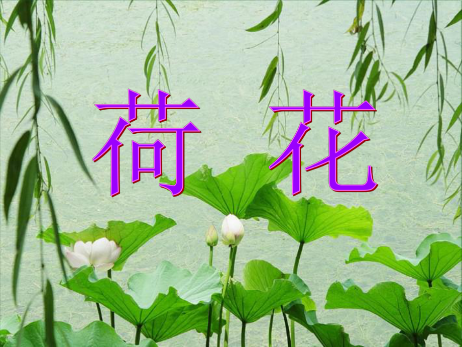 部编版三年级下册3读写结合课《荷花》课件.ppt_第2页