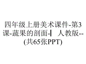 四年级上册美术课件-第3课-蔬果的剖面-▏人教版-(共65张PPT).ppt