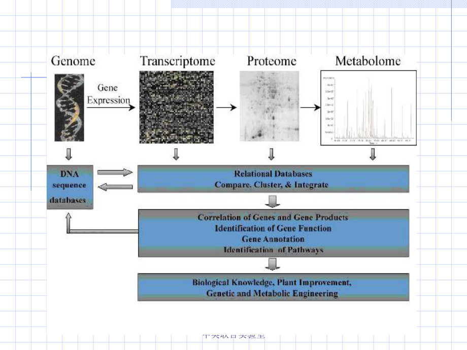 基因组学课件11代谢组学.ppt_第3页