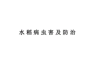 水稻病虫害及防治课件.ppt