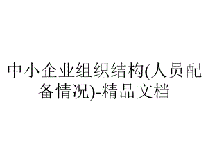 中小企业组织结构(人员配备情况).ppt